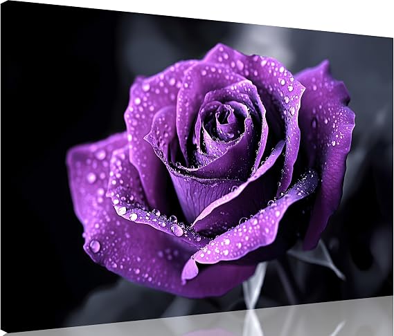 TutuBeer 1 Panel Purple Flower Pictures Canvas Wall Art Purple Black and White Purple Rose with Dewdrops Artwork Painting on Canvas Stretched and Framed for Home Decor Living Room 30x40 inch