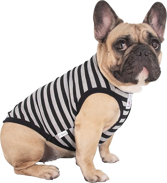 French Bulldog Pug Striped T Shirts Grey Black Stripes - Small | Tank Tops Vests Clothes 100% Cotton for Puppy Frenchie Boston Terrier English American Bully Pitbull Staffordshire