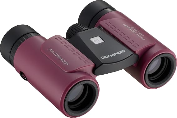 Olympus 8x21 RC II WP