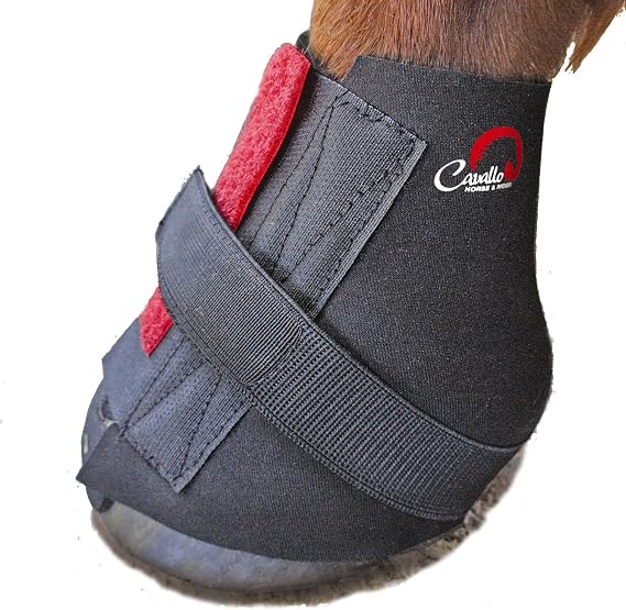 Cavallo Pastern Wrap for Horse Hoof Boot, Large