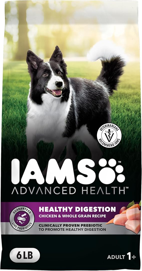 IAMS Advanced Health Dry Dog Food Healthy Digestion, Adult Dog Food with Real Chicken Recipe, 6 lb. Bag