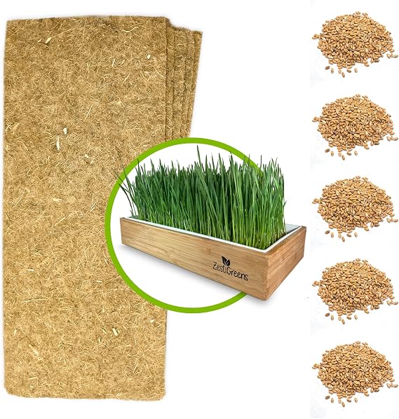 Wheatgrass Refills - Self-Watering Grow Mats & Seeds for 5 Crops