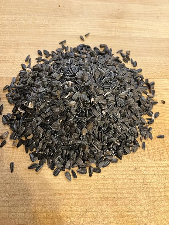 Black Oil Sunflower Seeds Non GMO for Planting or Sprouting 8 Ounces Apprx 1000 Seeds