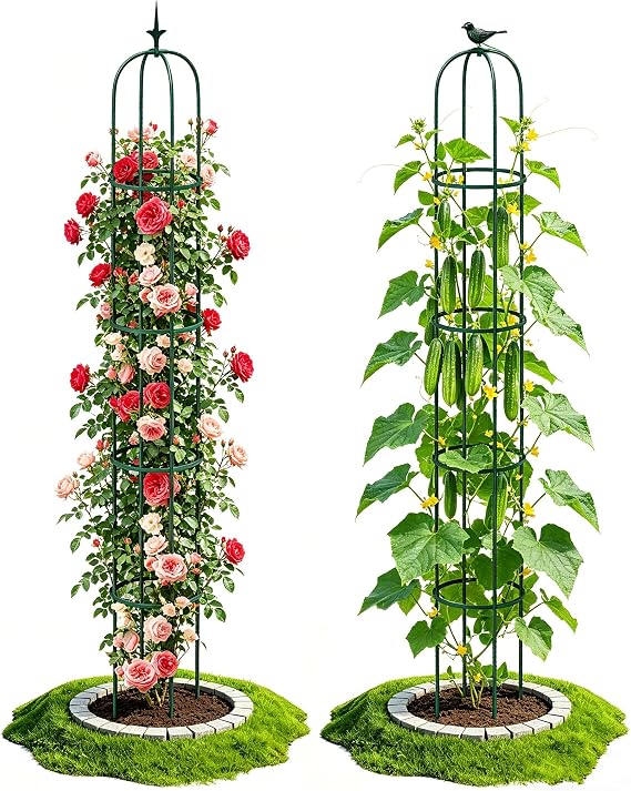 2PCS Garden Trellis for Climbing Plants, 6.2FT Rustproof Metal Pipe with Heavy Duty Plastic Coated, Garden Outdoor Indoor Potted Plant Support, Obelisk Garden Trellis for Climbing Vine (Green)
