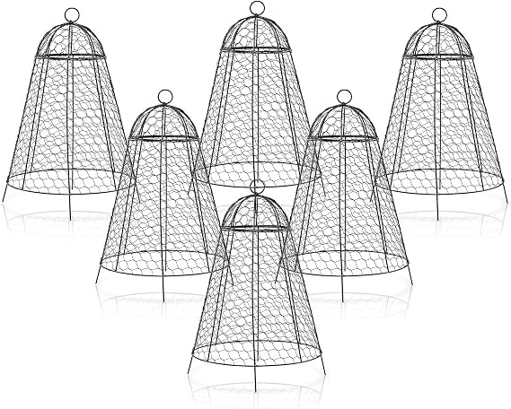 Garden Cloches for Plant Protector from Animals Chicken Wire Cages Outdoor | 12" x 20" Pack of 6 Extra Large Plant Covers Rust Proof Thicker and Finer Mesh Protection from Animals for Plants Vegetables