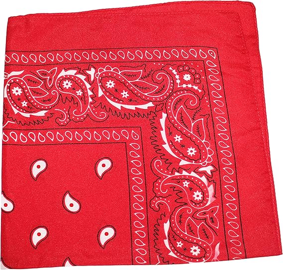 Balec Pack of 48 Paisley Cotton Bandanas Novelty Headwraps - Bulk Wholesale - 22 inches